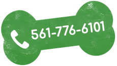 Bubbles n bows phone number